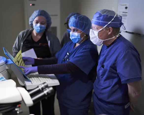 Ophthalmologists and technicians examine patient records